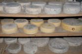 20120801_105925 Forme di formaggio.jpg